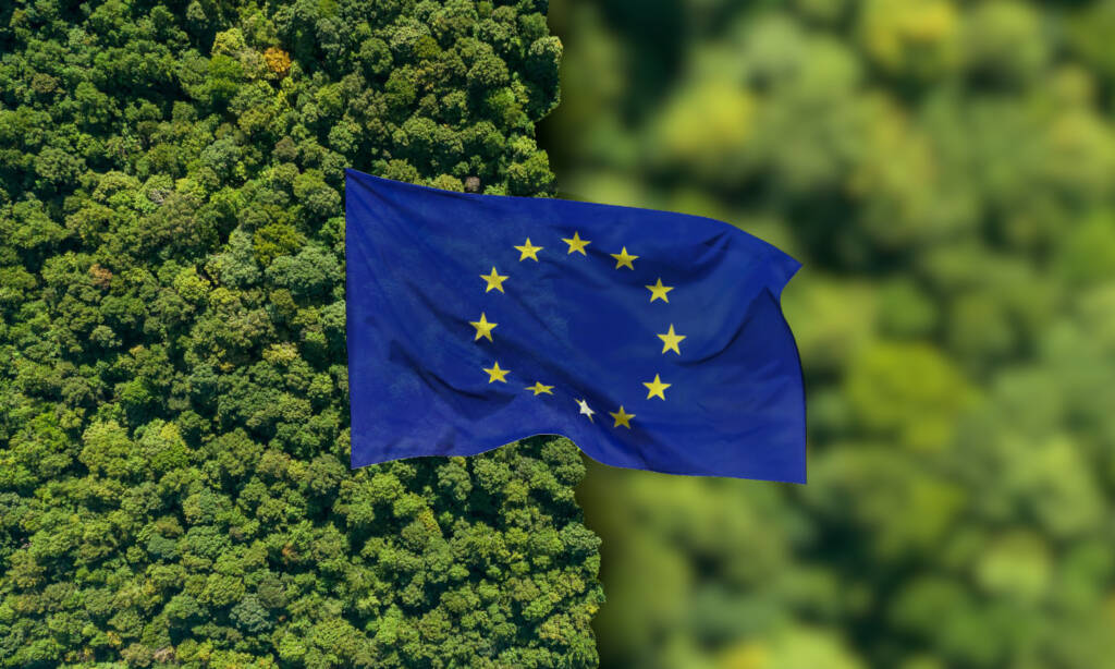 Défis et promesses de la décarbonation : l’industrie papetière européenne montre la voie